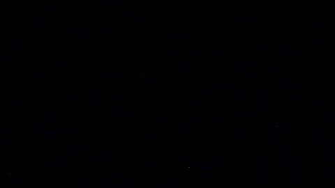 Pau Gasol en camino a recibir el reconocimiento.
