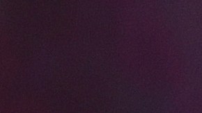 Steven Spielberg recibió el Oso de Oro Honorífico, el cual celebra toda su carrera.