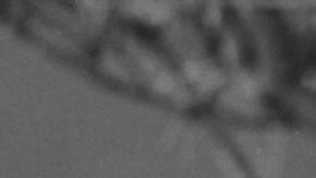 Varias propiedades en Los Ángeles está relacionadas con Marilyn Monroe.