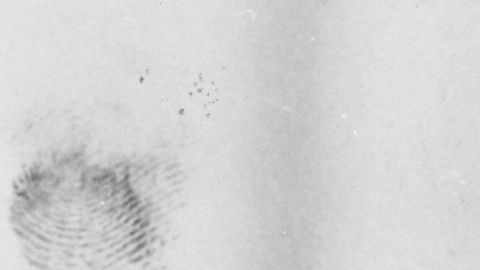 Elvis Presley nació el 8 de enero de 1935.