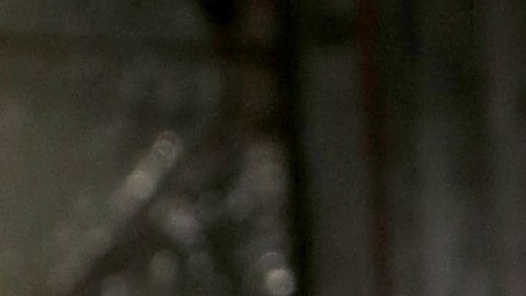 El actor y comediante Richard Belzer.