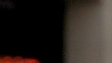 Paul Allen compró esta propiedad en el año 2000 y allí incluyó su colección de cactus.