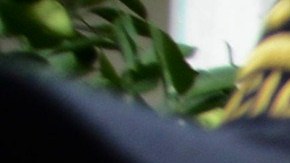 Plutarco Díaz asesino de María José Alvarado, y su hermana Sofía Trinidad,