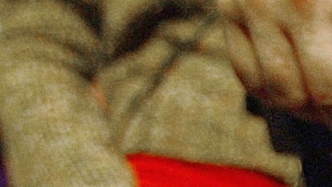 Rescue And Service Dogs Honored For Service