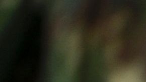 TOPSHOT-COLOMBIA-FARC-PEACE-DEMOBILIZATION-CAMP