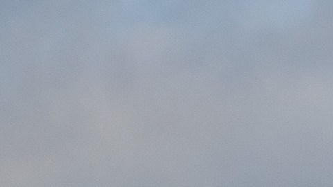 La mayoría (69,5 %) de las personas detenidas en la frontera con México en enero fueron adultos que viajaban solos.