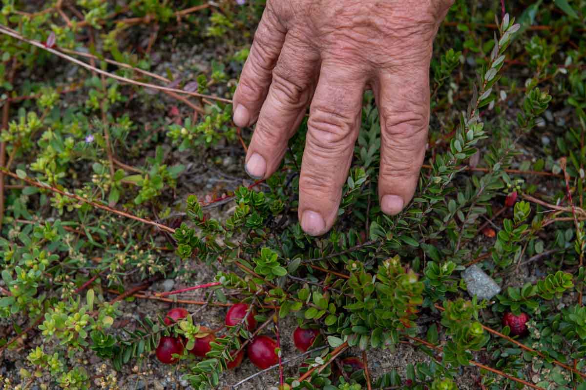 Los propietarios de una famosa granja de Florida fueron brutalmente atacados por su hijo - El Diario NY Los propietarios de una famosa granja de Florida fueron brutalmente atacados por su hijo - El Diario NY