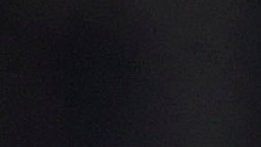 El argentino llegó esta temporada al Club Tigres.