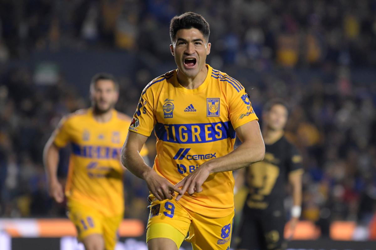 Nicolás Ibáñez con la responsabilidad de suplir a Gignac en el duelo de Club  Tigres ante Atlas - El Diario NY