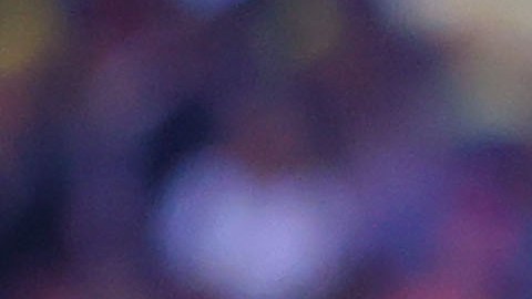 El delantero colombiano finalizará su contrato en el mercado de verano.