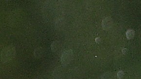 Manny Machado planea salirse de su contrato al terminar el 2023