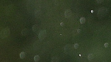 Manny Machado planea salirse de su contrato al terminar el 2023