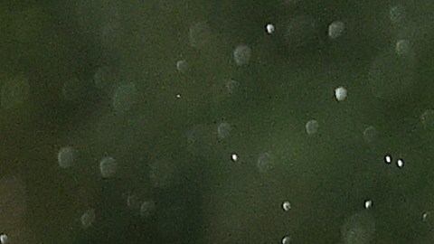 Manny Machado planea salirse de su contrato al terminar el 2023