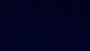 Hombre con parálisis impone en Florida récord mundial de media maratón en muletas