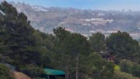 Mark Wahlberg mandó a construir esta mansión desde cero.