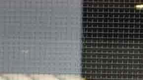 Los denominados McPlant Nuggets estarán hechos de guisantes, maíz y trigo