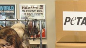 Abrigos de piel donados a Turquía por PETA