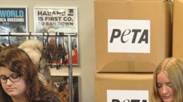 Abrigos de piel donados a Turquía por PETA