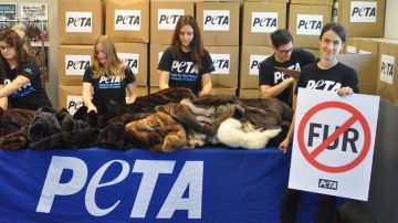 Abrigos de piel donados a Turquía por PETA