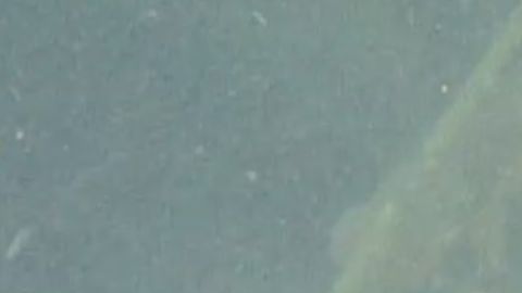 imágenes del submarino hundido USS Albacore