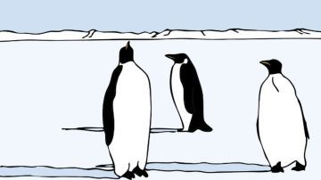 libro de pinguinos