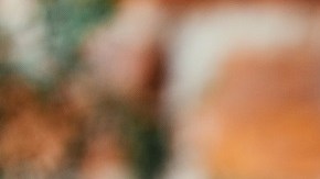 Mujeres bebiendo café