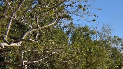 Desarrollo ilegal sobre cueva Las Golondrinas en Aguadilla, Puerto Rico