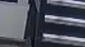 Los dos sujetos fueron descritos como de entre 30 y 40 años de edad y de constitución mediana.