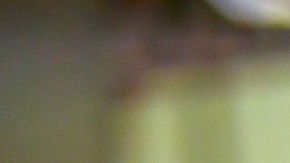 bolso-cartier-vintage