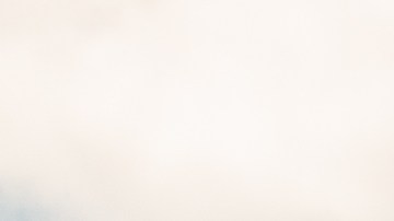 burger-king-franquicia