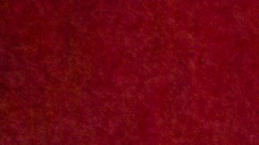 chick-fil-a-empleado-insulto-racista