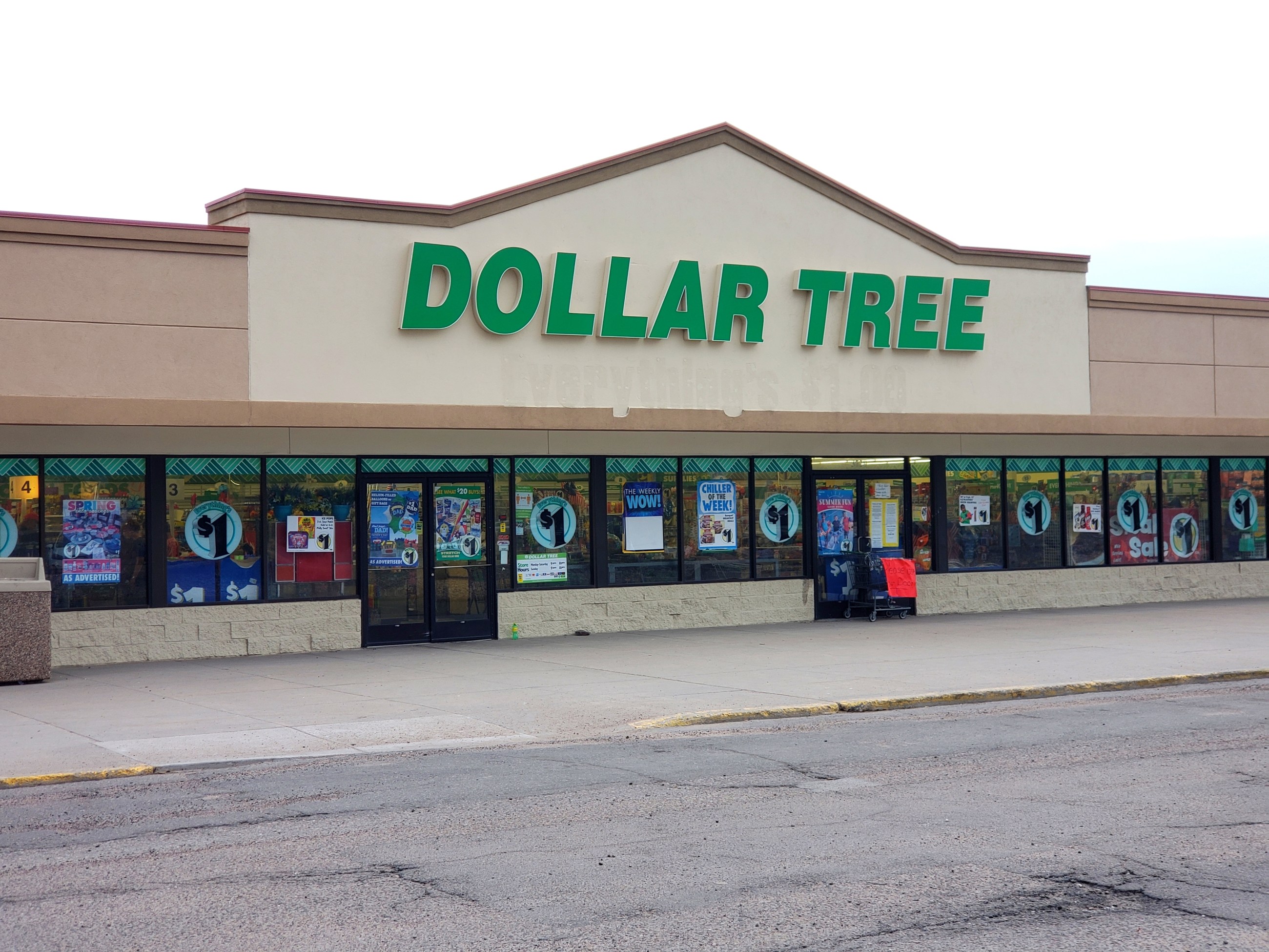 Video: empleada de Dollar Tree se enfrenta a gerente por faltarle al  respeto enfrente de la gente - El Diario NY