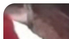 Familia mexicana acosada por racista en su propia casa