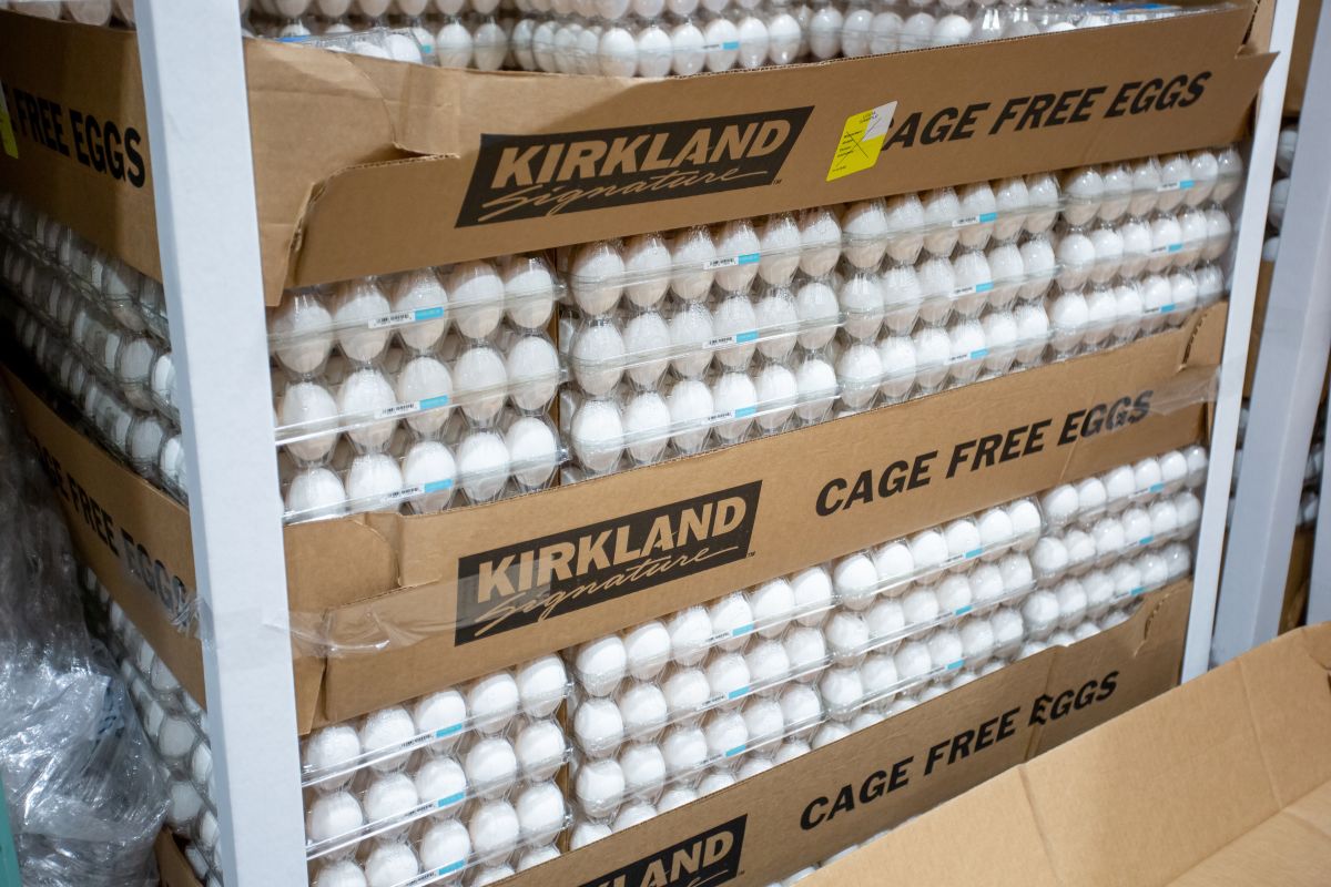Costco customer shows long line of people waiting and arguing just to buy eggs
