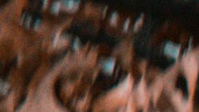 El incidente ocurrió en la Escuela Secundaria Anson de Carolina del Norte.