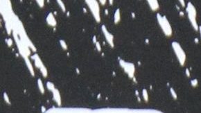 Héctor "Apio" Quijano.