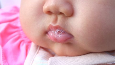 Saliva