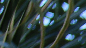 the-cheesecake-factory-mesera-propinas