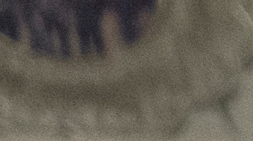 La nueva obra relata la historia de dos
hermanas puertorriqueñas que están lidiando con sus diferencias culturales,/Cortesía