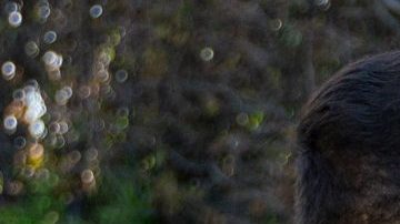 Chicharito Hernández con Iker Casillas en las instalaciones del LA Galaxy.