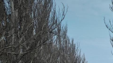 Al menos 28,000 voluntarios ucranianos han solicitado formar parte de las nuevas brigadas de asalto.