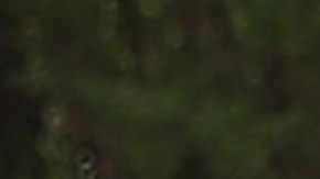 Tiroteo en escuela de Nashville