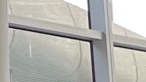 Claudia Marina Cifuentes (cuarta a la derecha) volvió a EE.UU. tras 15 años de deportación.