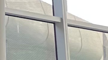 Claudia Marina Cifuentes (cuarta a la derecha) volvió a EE.UU. tras 15 años de deportación.