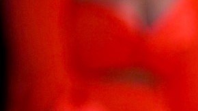 La puertorriqueña Dayanara Torres agradece las oportunidades que se le han presentado.