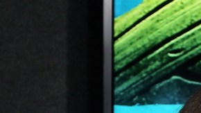 Adamari López está muy feliz en el cumpleaños de su hija.