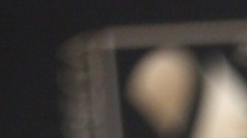 La presentadora Clarissa Molina deslumbra con su más reciente vestuario a sus 31 años.