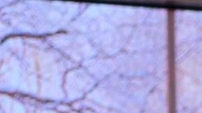 Francisca constantemente genera debates entre sus seguidores por sus looks.