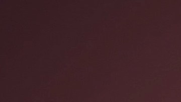 Chiquinquirá Delgado.