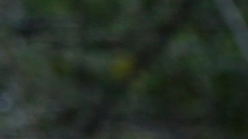 Las autoridades panameñas estiman que este año podrían cruzar su territorio 400,000 migrantes.